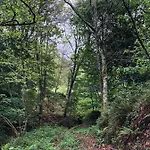 Oak Nature Деревянный коттедж *
