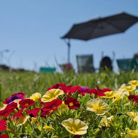 Oak Nature Gerendaház Vieira do Minho