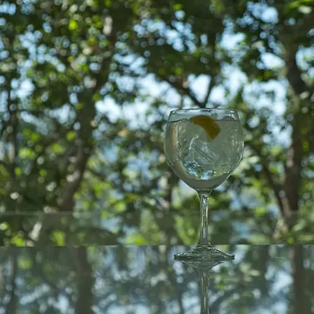 Oak Nature * Vieira do Minho