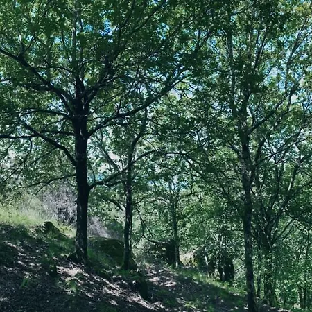 Oak Nature Gerendaház *