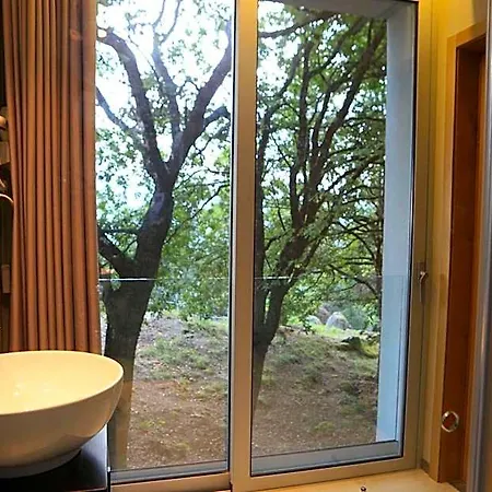 Oak Nature *