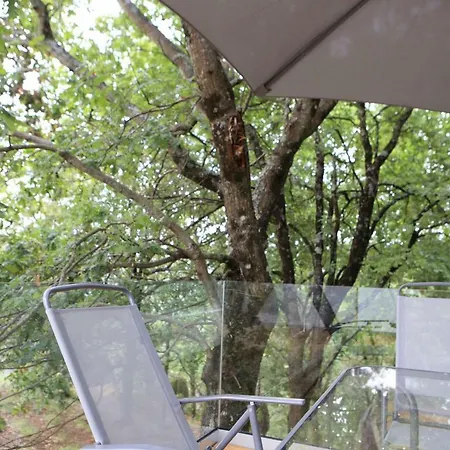 Oak Nature Orman Evi