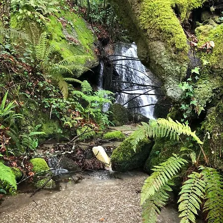 Oak Nature * Vieira do Minho