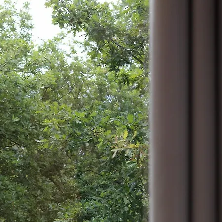 بيت خشبي Oak Nature فييرا دو مينهو