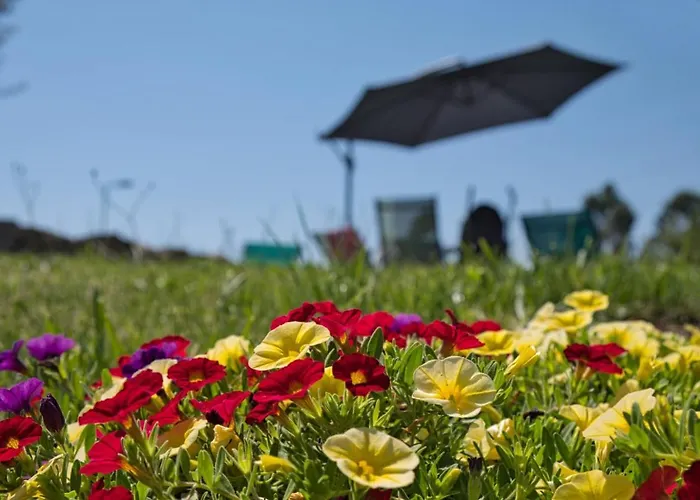 Oak Nature Деревянный коттедж Виейра-ду-Минью