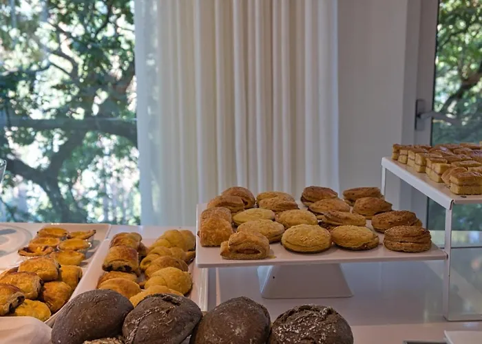 Oak Nature * Vieira do Minho