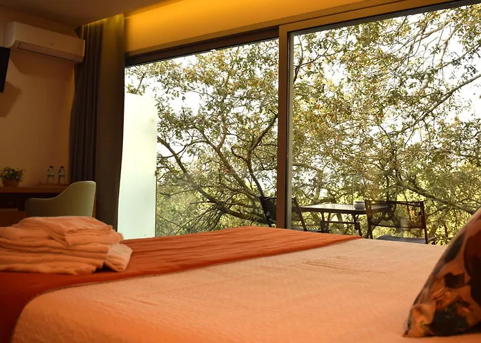 Oak Nature 비에이라도미노