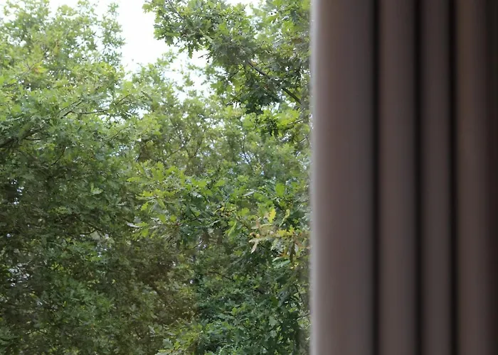 Lodge Oak Nature Vieira do Minho