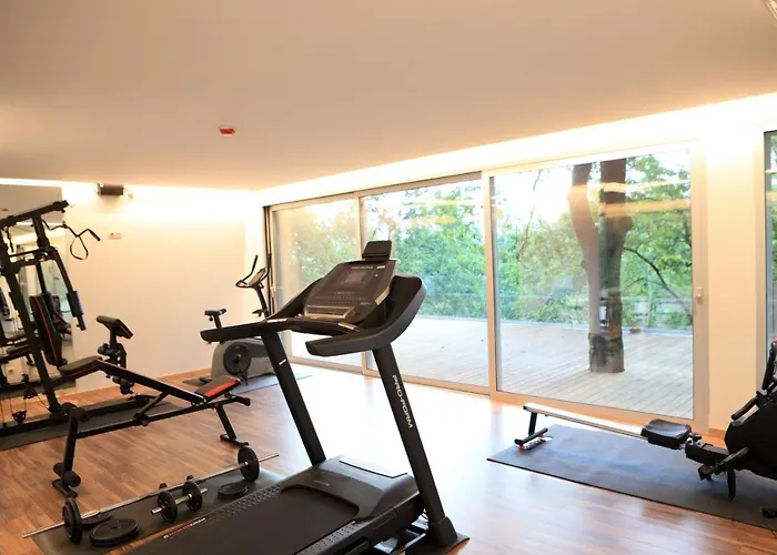 Oak Nature 비에이라도미노